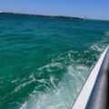 private dolphin cruise destin florida