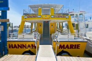 hannah marie dolphin cruise boat boarding