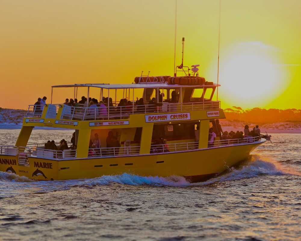 Destin dolphin cruises and sunset cruises