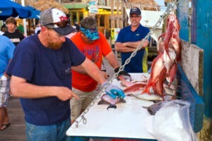 filleting fish after destin fishing charter
